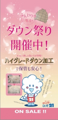 3月ハイグレードダウンお試し価格