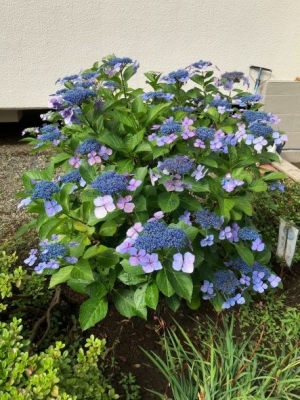 事務経理ブログ