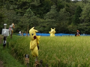 汗抜きドライセール始まりました！